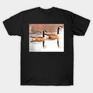 Canada Geese Pair No.2 T-Shirt